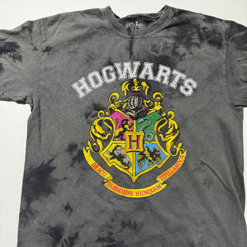 Harry Potter Hogwarts